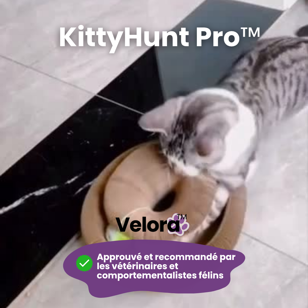 KittyHunt Pro™