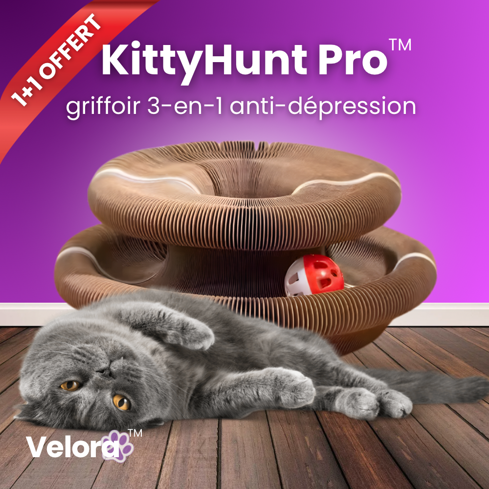 KittyHunt Pro™