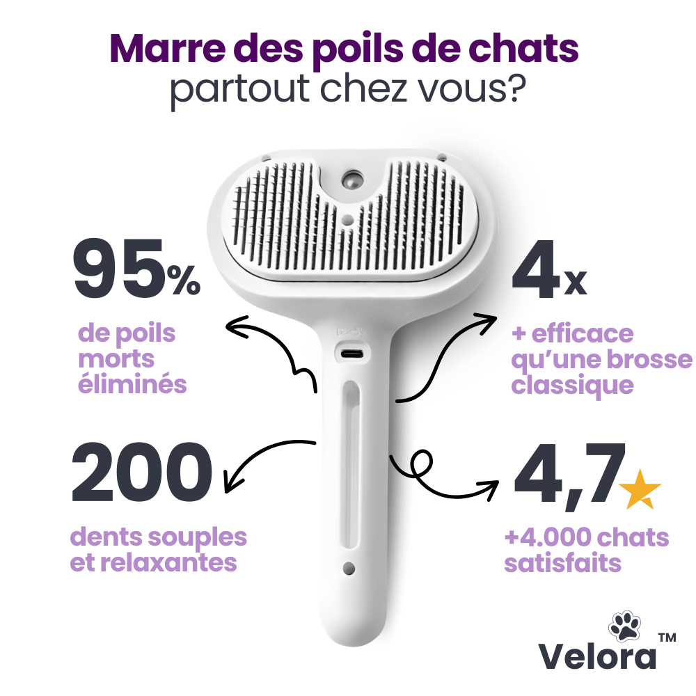 CleanGlove™ - Velora