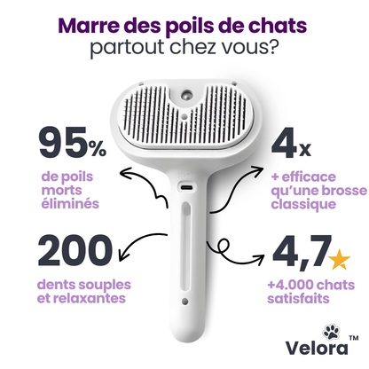 CleanGlove™ - Velora