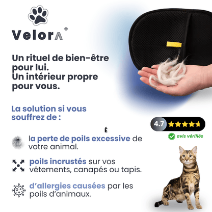 CleanGlove™ - Velora