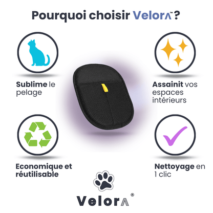 CleanGlove™ - Velora