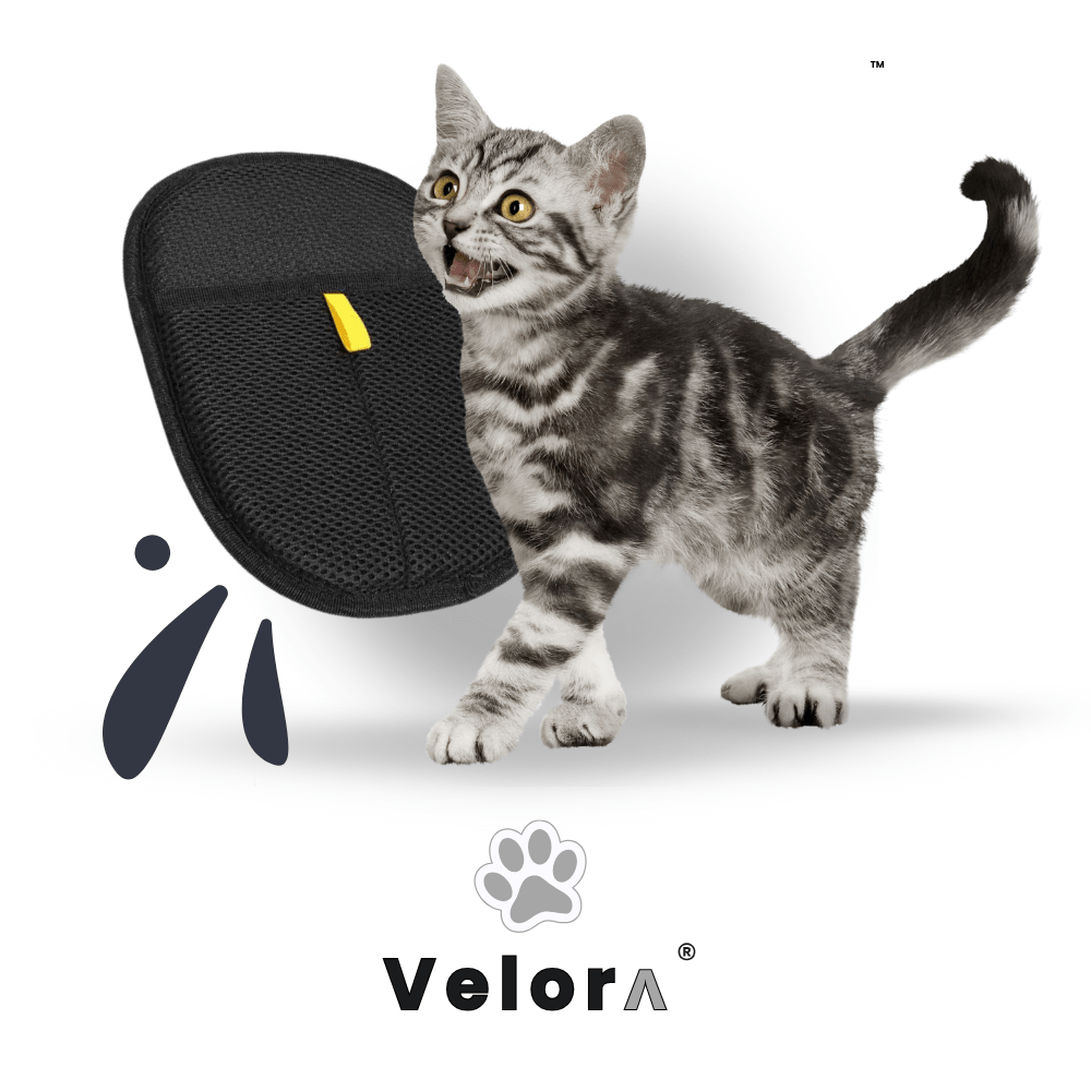 CleanGlove™ - Velora