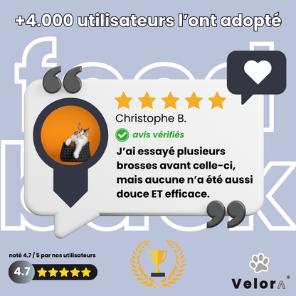 CleanGlove™ - Velora