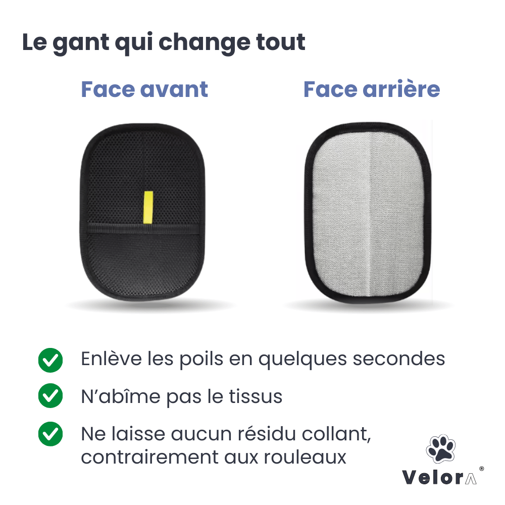 CleanGlove™ - Velora