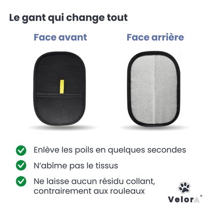 CleanGlove™ - Velora